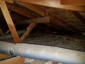 Attic Cleaning